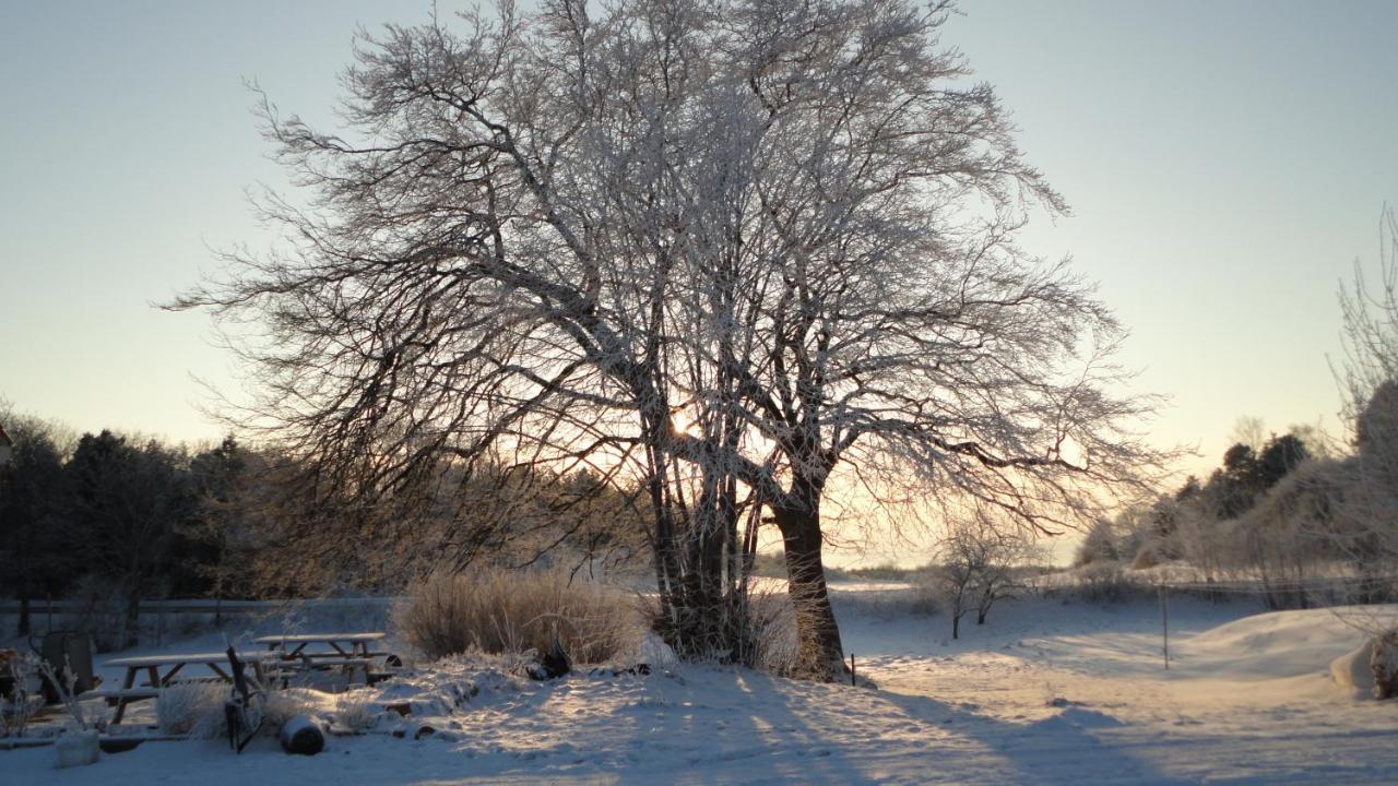 Kongsgard Bed & Breakfast Kalundborg Luaran gambar