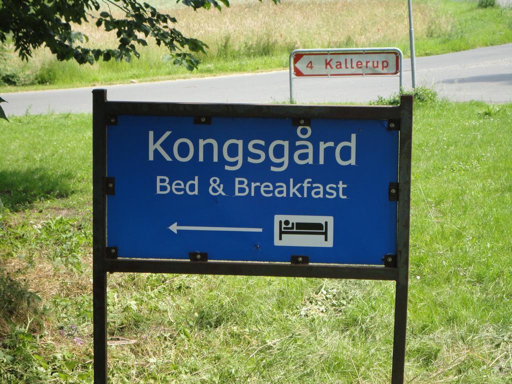 Kongsgard Bed & Breakfast Kalundborg Luaran gambar