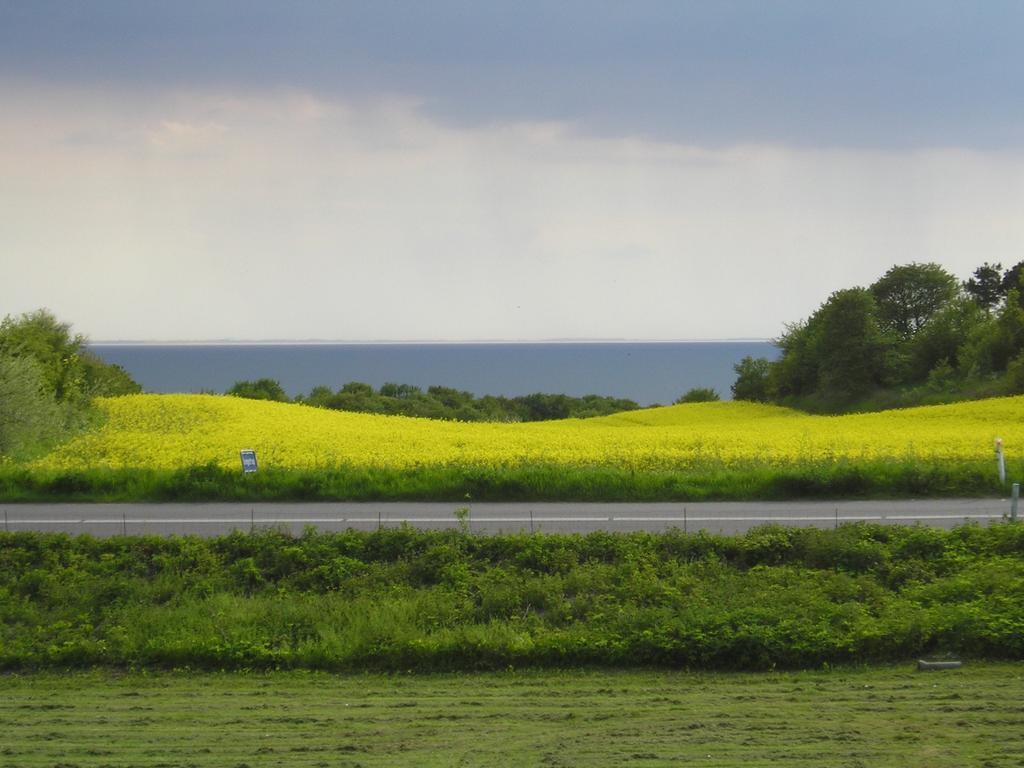Kongsgard Bed & Breakfast Kalundborg Luaran gambar